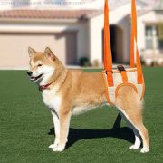 Підтримка для задніх лап собаки (літні, травмовані, інваліди).